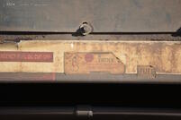 Closeup on some of the stickers on 9551's frame
