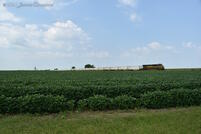 A stopped train and open prairie make a good opportunity to fit the entire train in one shot